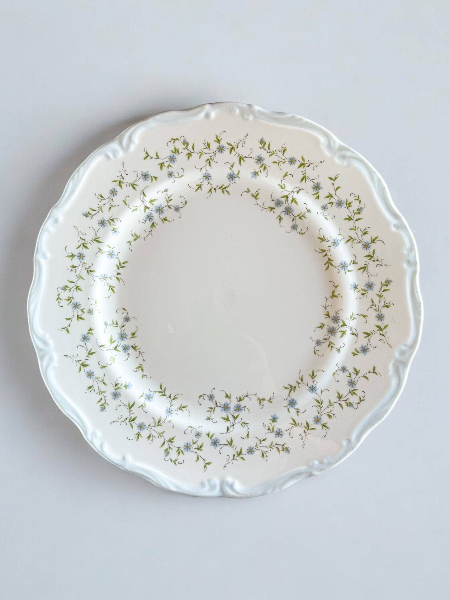 Royal Albert Dinner Plate - 'Caroline' Collection - SOSC Home