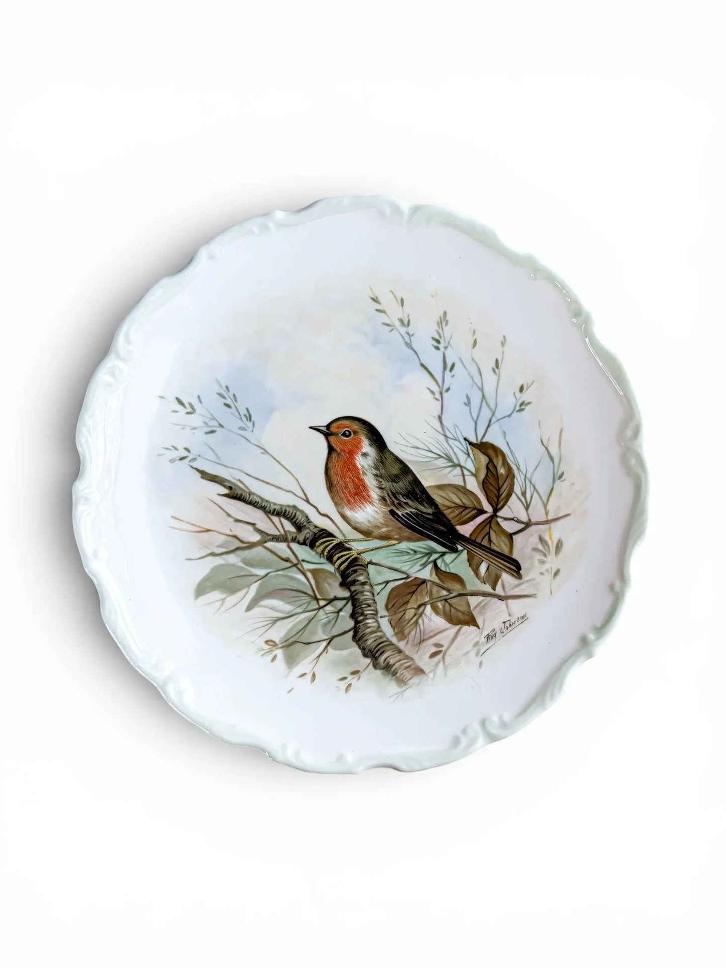 Front view of a vintage Royal Albert fine bone china cabinet plate from 1982, showcasing a detailed illustration of a European Robin perched on a tree branch against a soft sky-blue background. The plate features a classic scalloped rim and a clean white border.