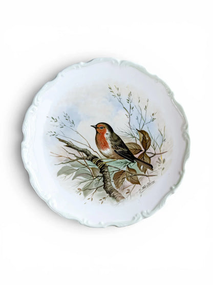 Front view of a vintage Royal Albert fine bone china cabinet plate from 1982, showcasing a detailed illustration of a European Robin perched on a tree branch against a soft sky-blue background. The plate features a classic scalloped rim and a clean white border.