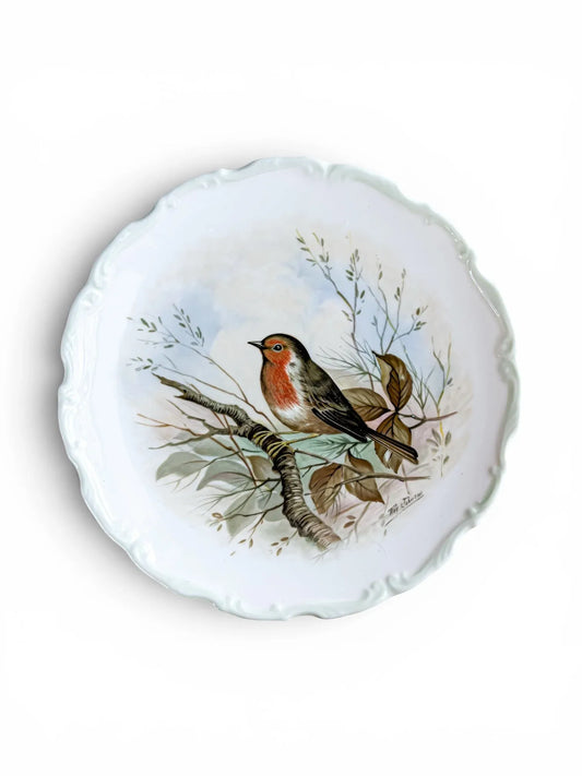 Front view of a vintage Royal Albert fine bone china cabinet plate from 1982, showcasing a detailed illustration of a European Robin perched on a tree branch against a soft sky-blue background. The plate features a classic scalloped rim and a clean white border.