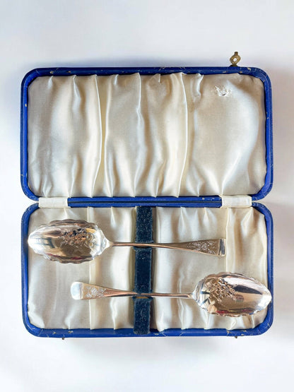 Serving Spoons in Original Satin-Lined Box | Grape Motif - SOSC Home