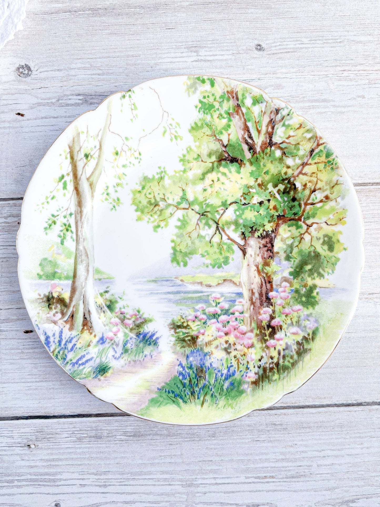 Shelley Dessert Plate - Woodland - SOSC Home