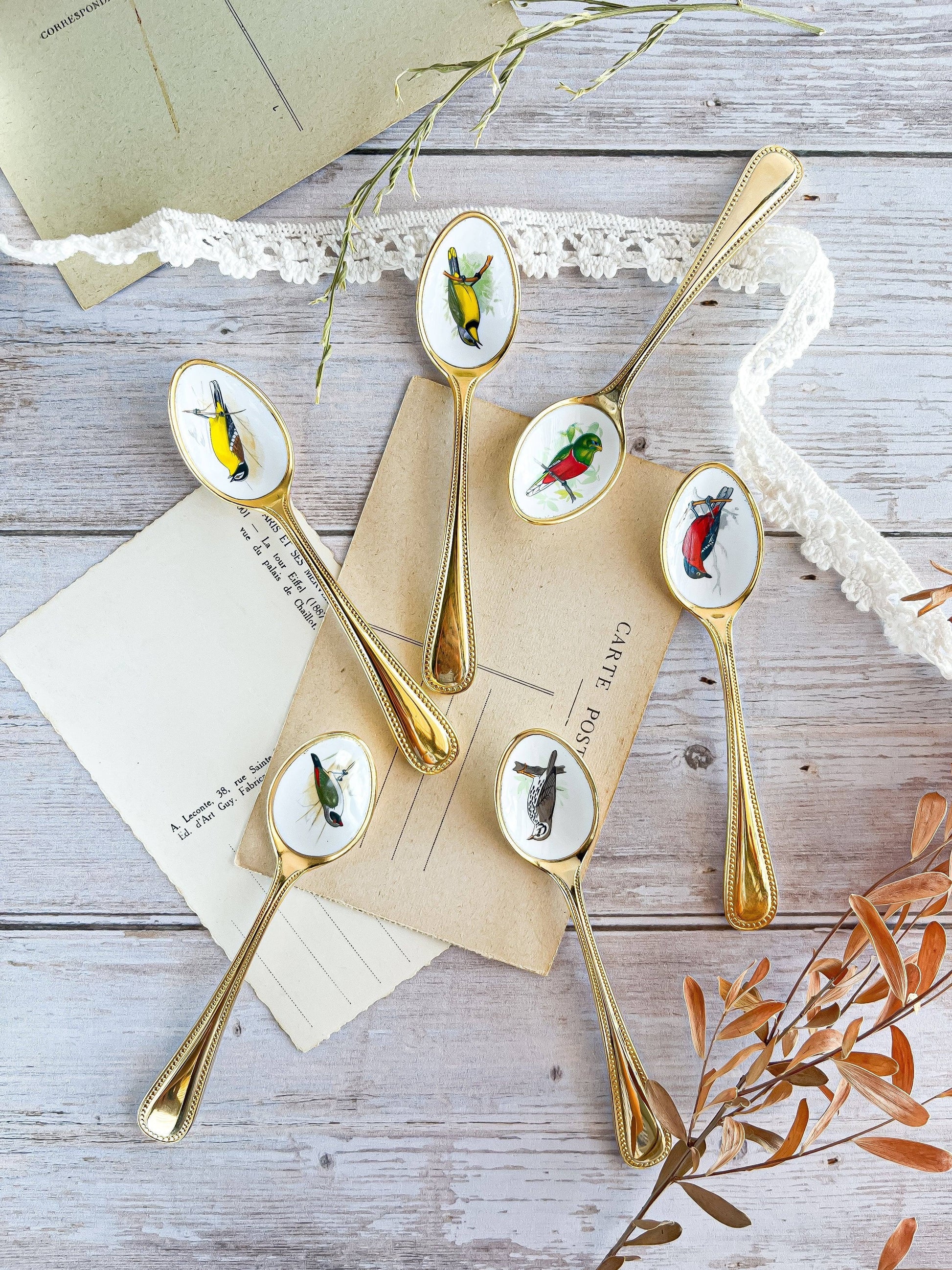 South African Birds Set of 6 Gold-Plated Teaspoons - Collection 1 - SOSC Home