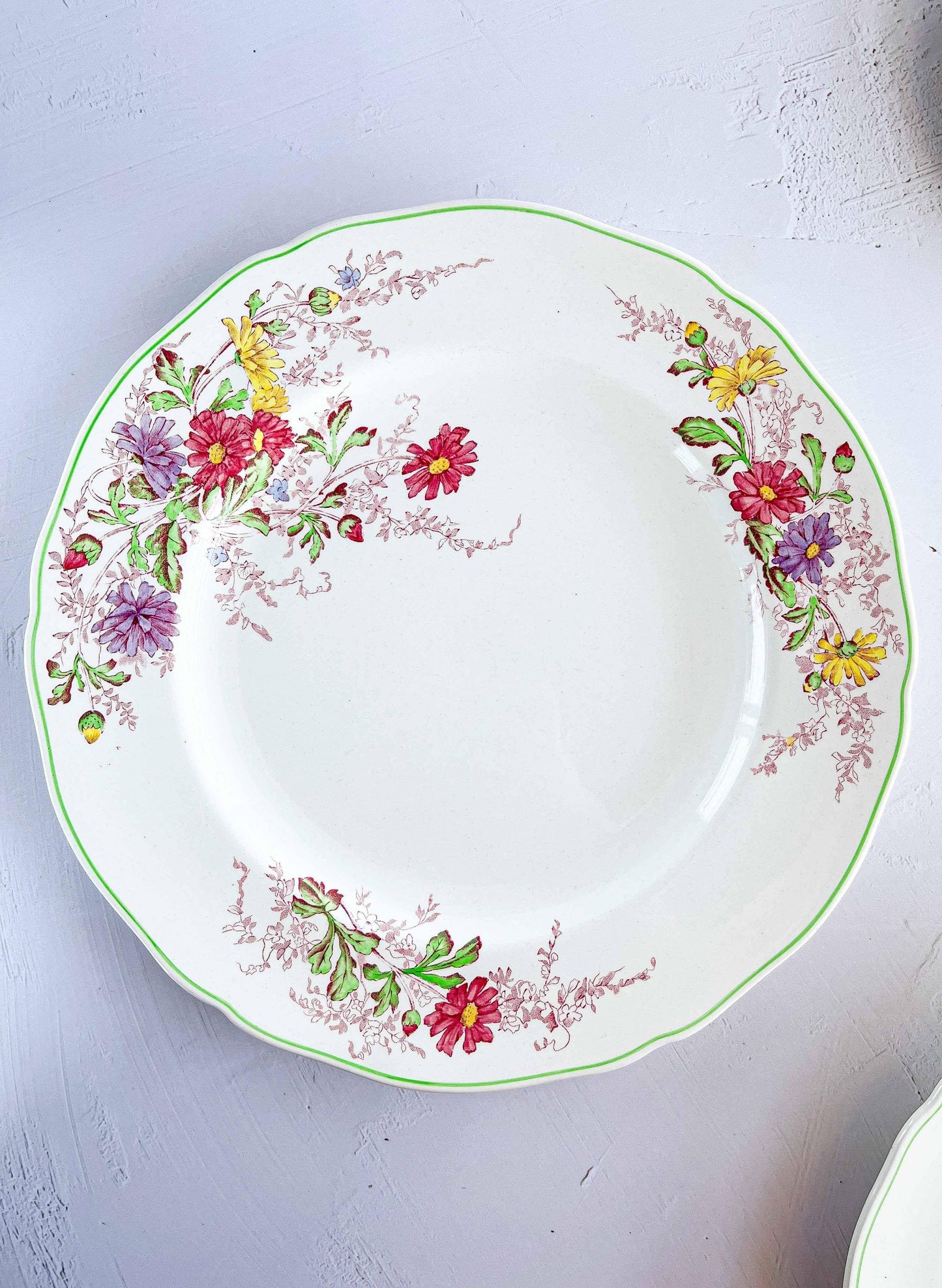 Spode Dinnerware - Fairy Dell - SOSC Home