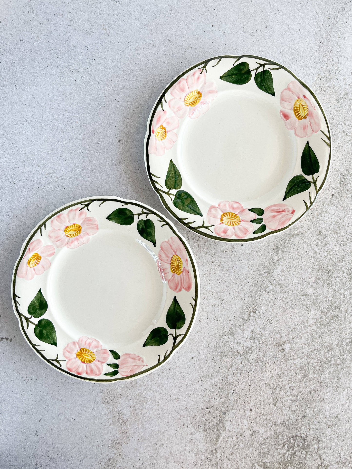 Villeroy & Boch Tea and Dessert Set - 'Wild Rose' Design - SOSC Home