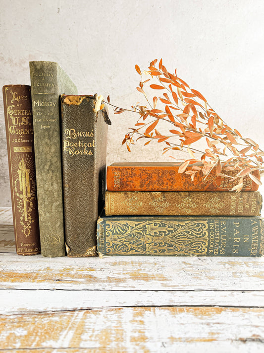 Vintage & Antique Book Collection - Historical, Poetical, and Biographical Works - SOSC Home