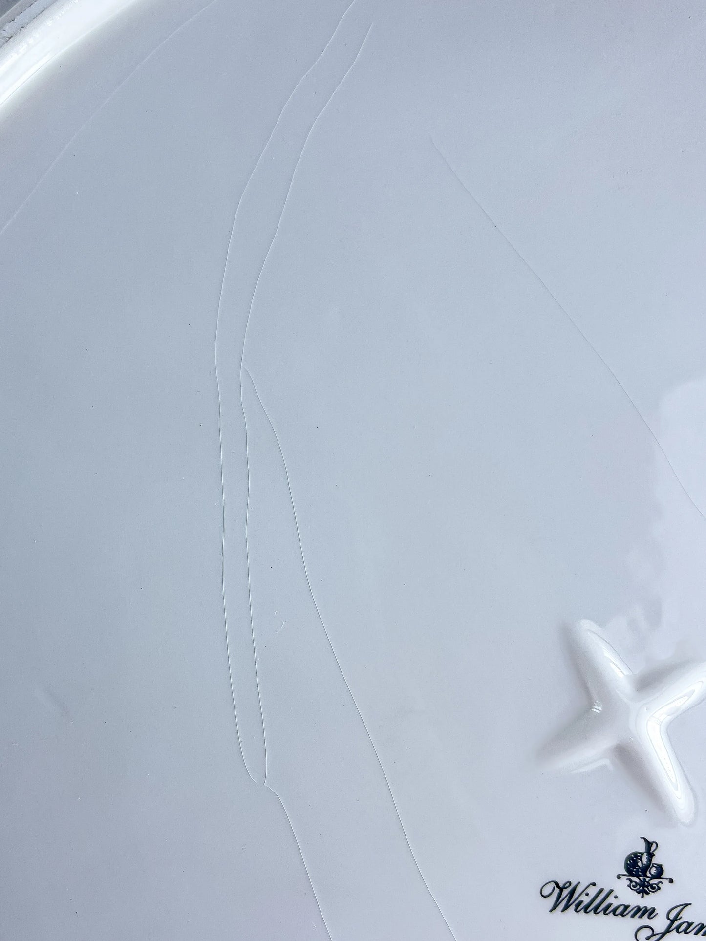 White ceramic plate with a starfish embossment and William James logo